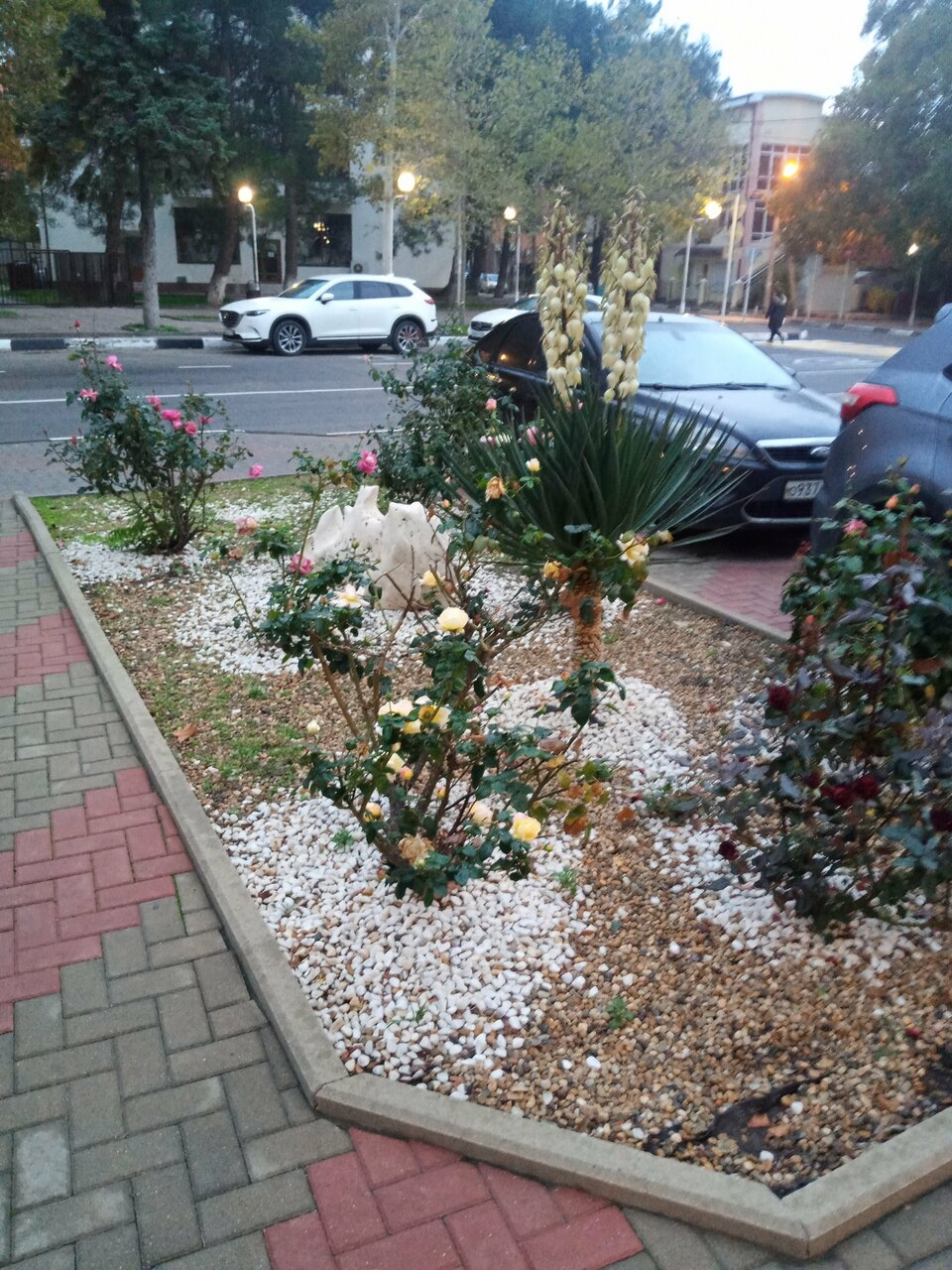 Гостиница Оскар Геленджик-165