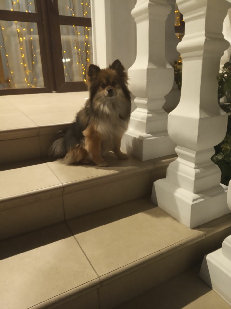 Гостиница Оскар Геленджик-159