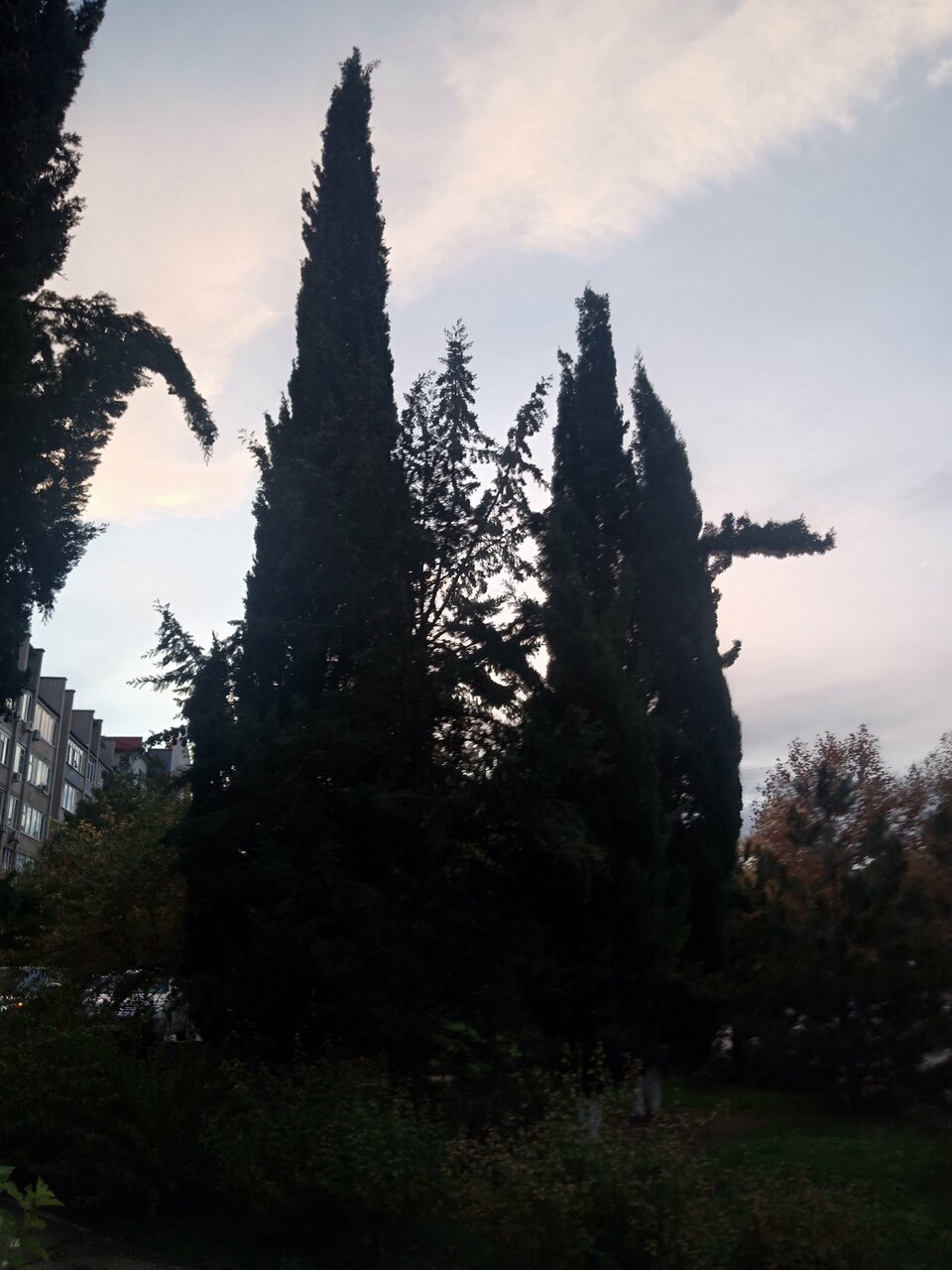 Гостиница Оскар Геленджик-196