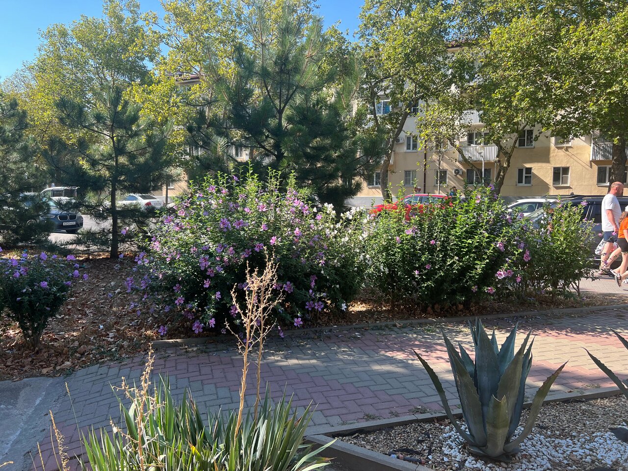 Гостиница Оскар Геленджик-171