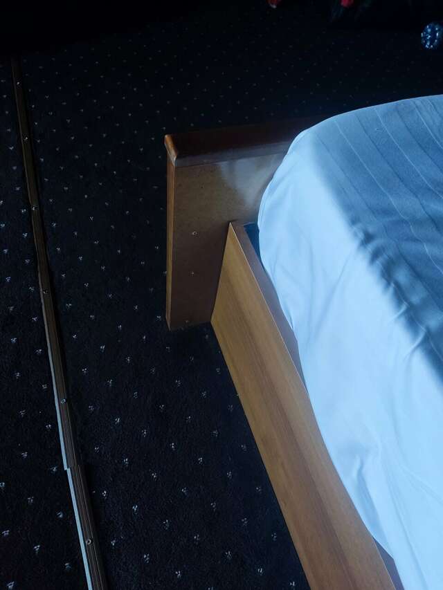 Гостиница Оскар Геленджик-216