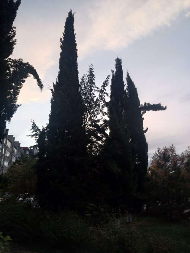 Гостиница Оскар Геленджик-195