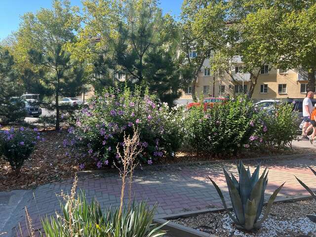 Гостиница Оскар Геленджик-170